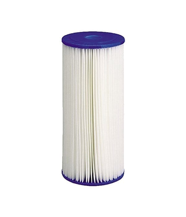 10" Jumbo Polypleated
