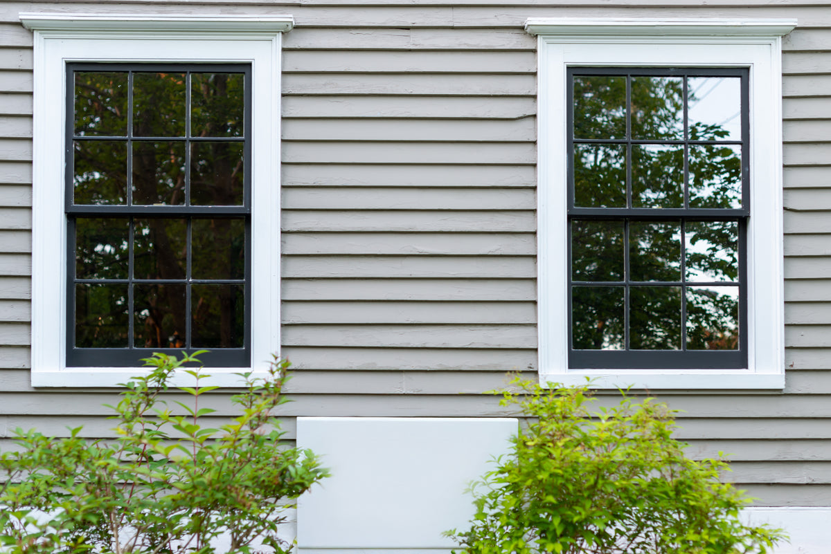 Two windows on a house exterior with greenery in front